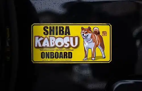  再见doge神烦狗表情包原型柴犬kabosu离世