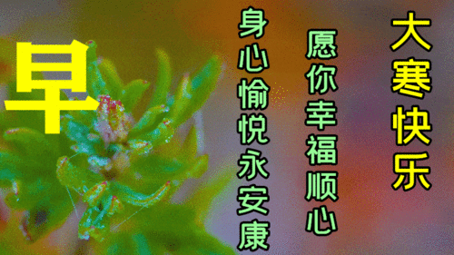  1月20日大寒早上好动态表情图片大全,早晨好动图美图大全