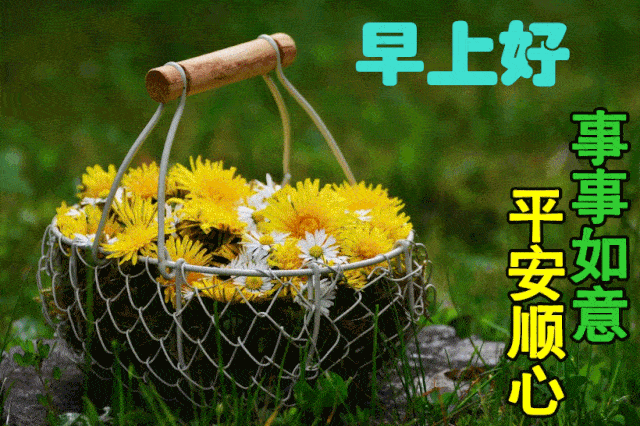 我不信表情包动态图片早