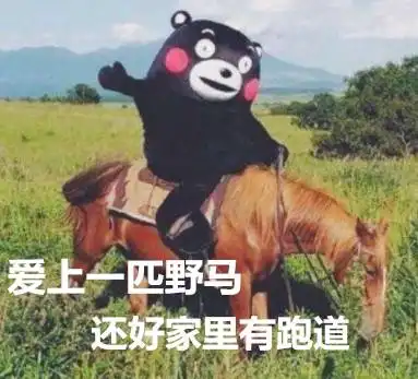  惊呆了上海惊现最奇葩二手房,两室一厅一跑道,这也有人买