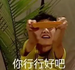  这四张新卡,必须给我安排进你的卡组里