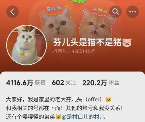  邪恶银渐层为何突然成为表情包顶流