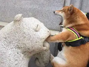  沉浸自己世界无法自拔