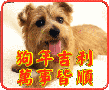  全国压岁钱地图出炉,浙江排全国第二拿好这份狗年祝福表情包,去讨压岁钱吧