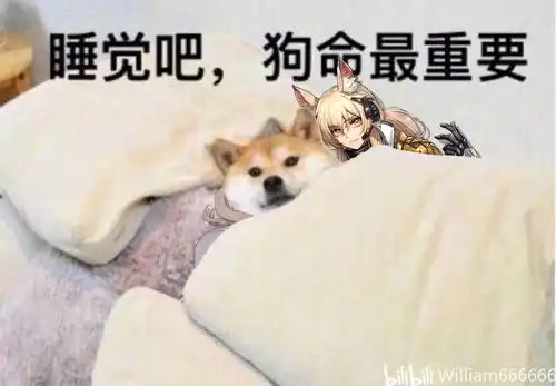睡吧狗命最重要表情