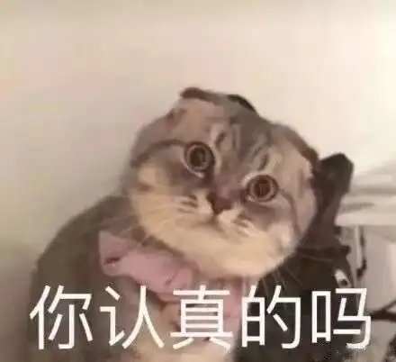  好嗨哦手握防骗秘籍,青妹带你元旦玩嗨武汉