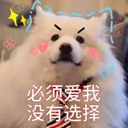  七夕特辑爱似明月朗