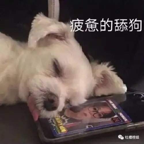 分手后做过的憨憨事,简直尴尬到窒息哈哈哈哈哈