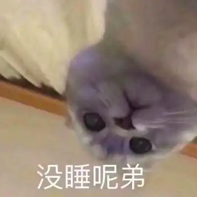 e句话看天下丨陈芳语和热依娜到底要撕到什么时候