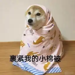 柴犬挨打表情包打架