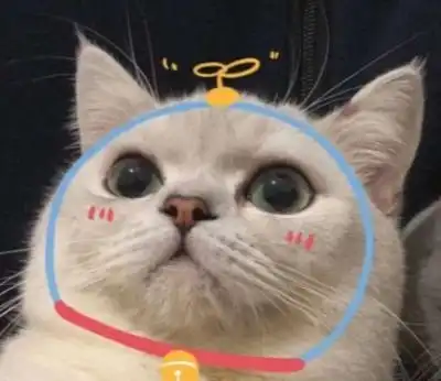  朋友圈沙雕搞笑幽默语录合集你们骂我有什么用我会反弹