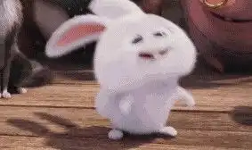  谁知道这是什么兔子