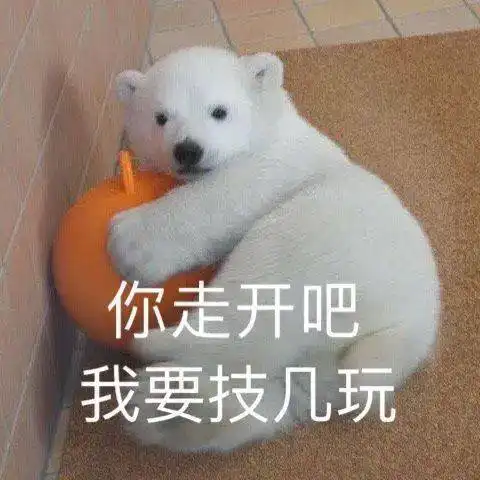  超多多多多多图预警是表情包哦