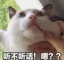 地铁直达五一假期深圳又多一个好玩的地方留深的人别错过啦