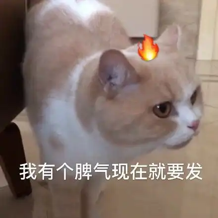  嗯嗯管好你自己近期斗图表情包精选2020117