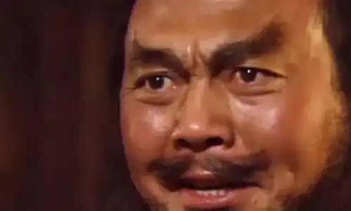  多面张飞智勇兼备的儒将暴躁鲁莽的大汉还是反差萌的表情包