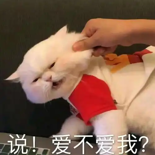  表情包有期待终会有相见