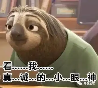 鸡条收官猝不及防,双黄表示承包你最后的笑点