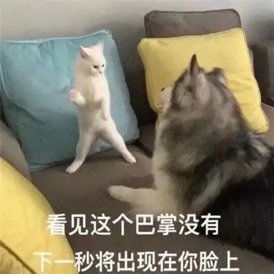  生气表情包暴怒干架必备不服干架的表情大全