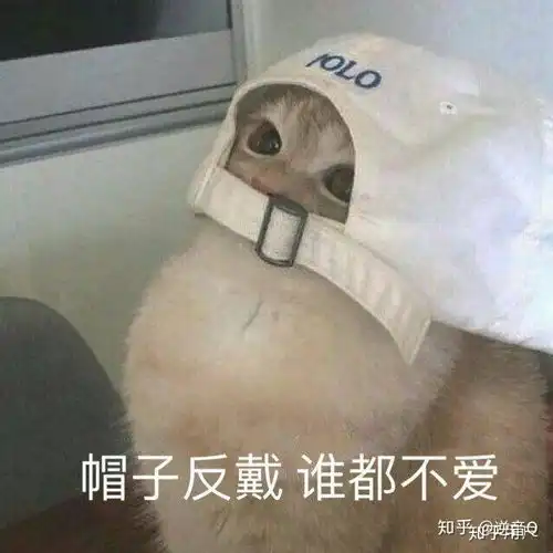  我骂了一个嘴贱的亲戚,然后她还笑,是啥子原因