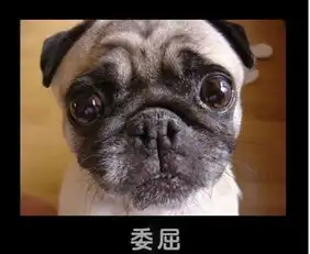  易车