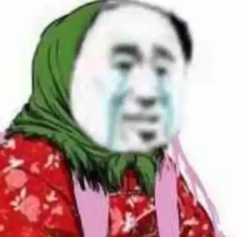 汉服同袍表情包沙雕
