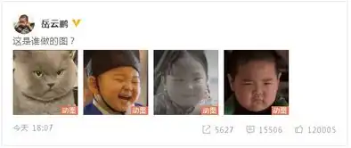  万物皆可小岳岳岳云鹏变表情包喊话谁做的图