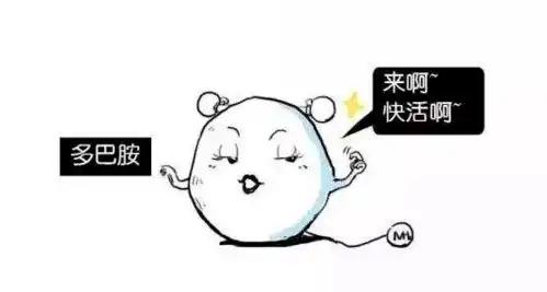  小研心语还熬夜吗别再做守夜冠军了