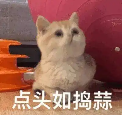  张雪迎李治廷一边撒糖一边虐,可盘