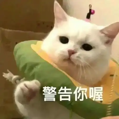  罚款200元,记6分德州交警最新曝光