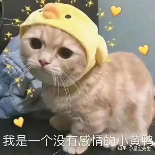  想要刻字,有哪些文艺的小短句可以推荐嘛