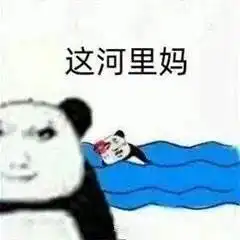  这河里吗表情包