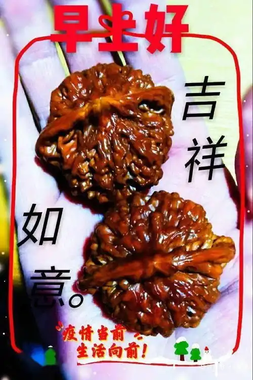  微信非常好看早上好动态表情图片,新版朋友圈早安祝福问候鲜花表情包