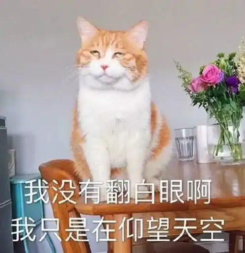  9100刀一斤的唇膏,新的道明寺你还能买得起吗