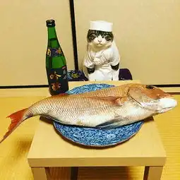  猫凹起造型来真是界面新闻
