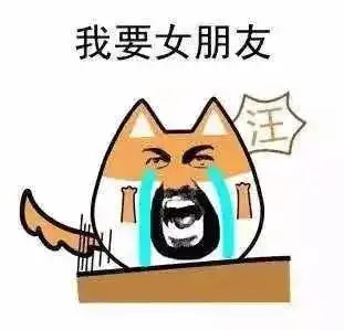  都说吊车美呀,我却无所谓,我为吊车流过太多的泪......
