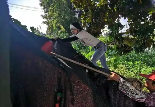  我为群众办实事秀美小乡村藏着大幸福