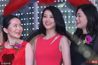  高圆圆获高层簇拥身边大姐的表情亮了