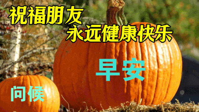  10月14日最漂亮早上好动态表情图片大全,早晨好美图大全