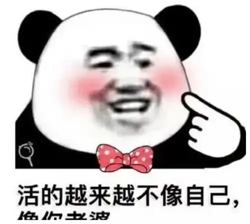  沙雕表情包之强行撩妹土味情话不想闯江湖了,只想闯姑娘的心房