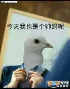  今晚按原计划行动表情包图片好无聊啊先记个仇表情包下载乐游网游戏下载