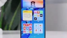  85包顺丰的iphone5