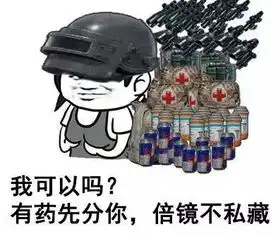  大吉大利,今晚吃鸡绝地求生表情包