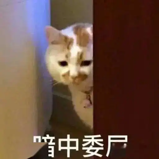  小五趣享路痴快来救救我吧