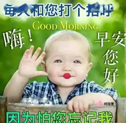  多一分淡泊,人生就多一分幸福早安就这样
