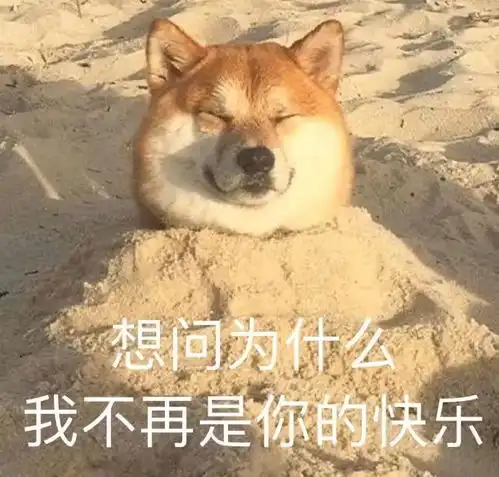  表情包表情怎么能少得了猫猫狗狗
