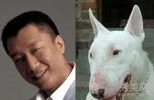  李冰冰范冰冰明星与动物撞脸图