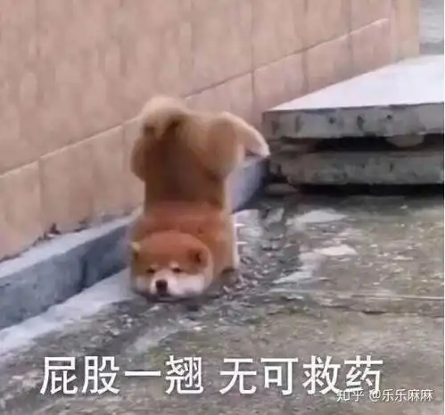  肠胃不好导致的皮肤问题怎么解决