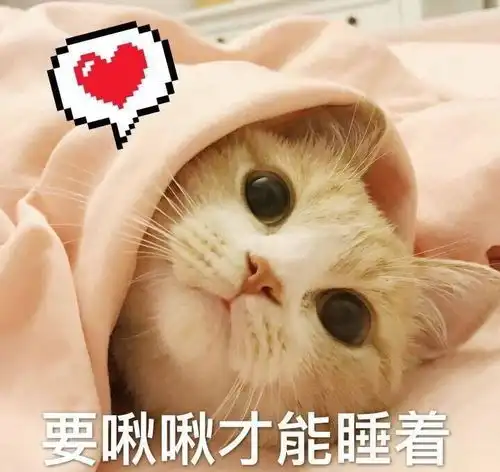 小宝贝表情包微信猫咪