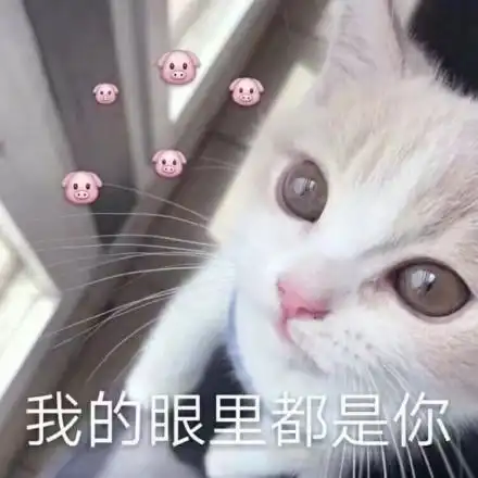  表情包软萌猫咪撒娇卖萌系列软妹必备